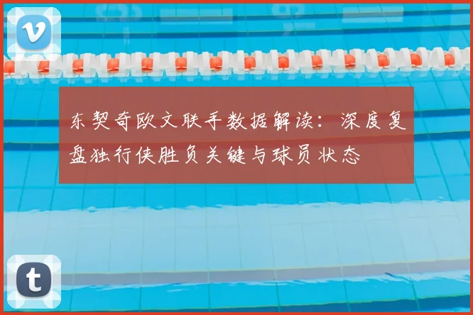 东契奇欧文联手数据解读：深度复盘独行侠胜负关键与球员状态